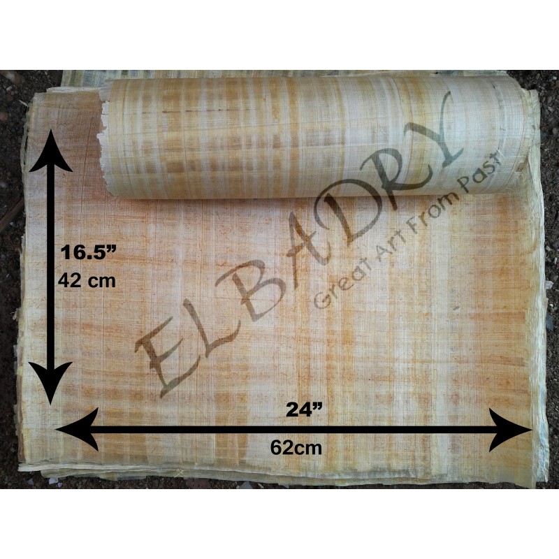 16,5x24,5 "(A2) Papeles de papiro 42x62 cm