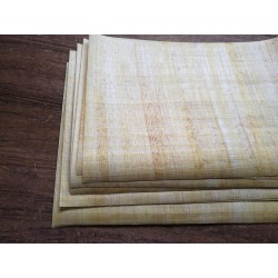 Papyrus for printing