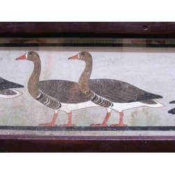 meidum geese painted papyrus